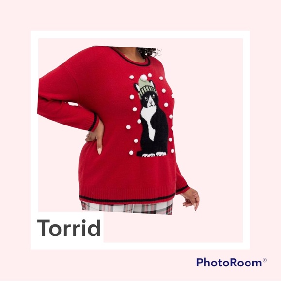BNWT Torrid Pullover Crew Neck Sweater - Picture 2 of 7